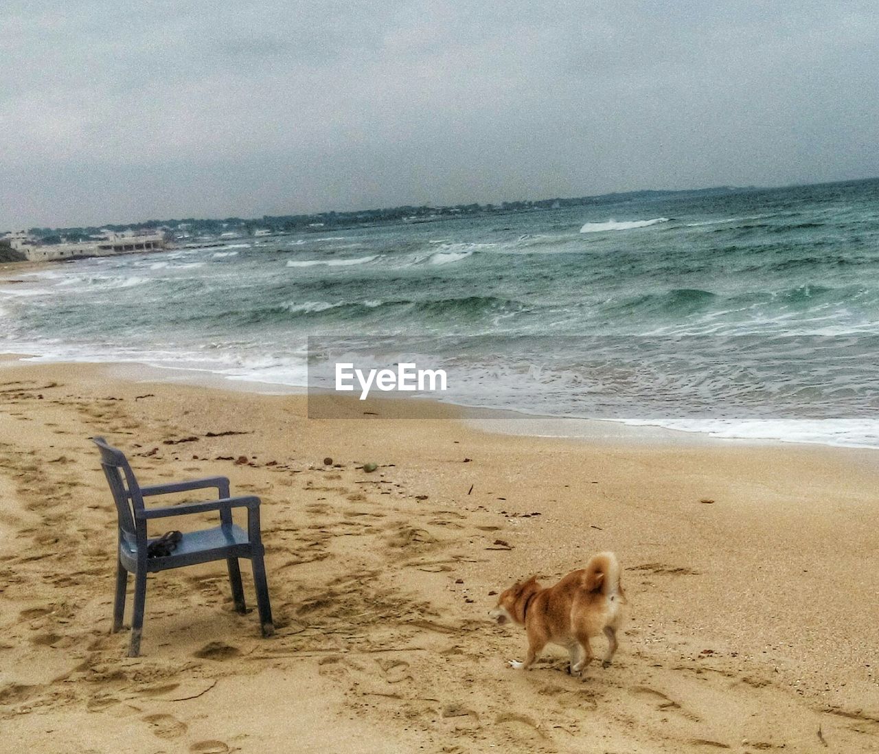 VIEW OF BEACH AGAINST SKY