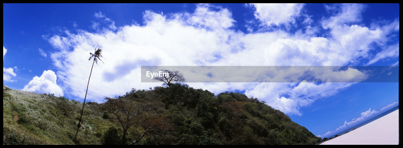 LOW ANGLE VIEW OF SKY