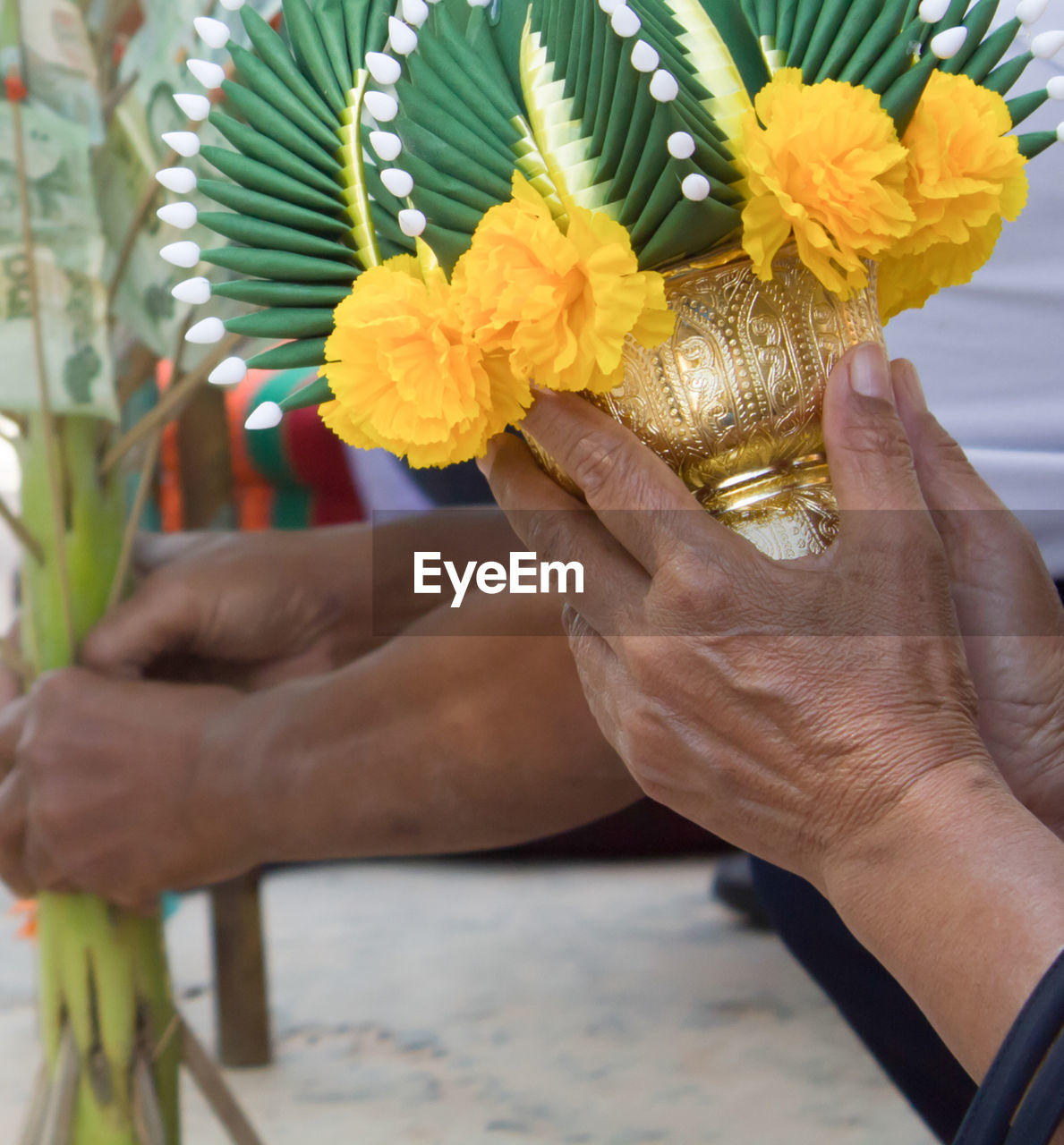 Close-up of hand holding flowers