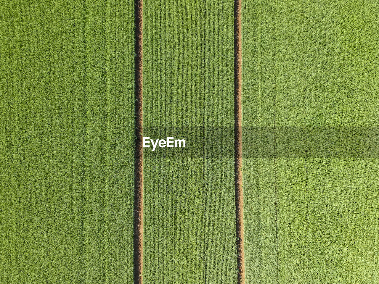 Aerial view of a plowed field