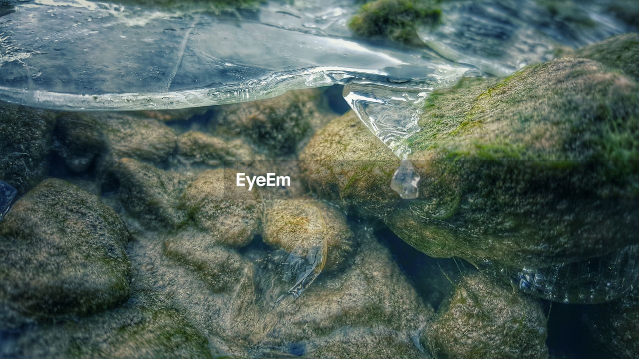 Close-up of mossy rocks in lake