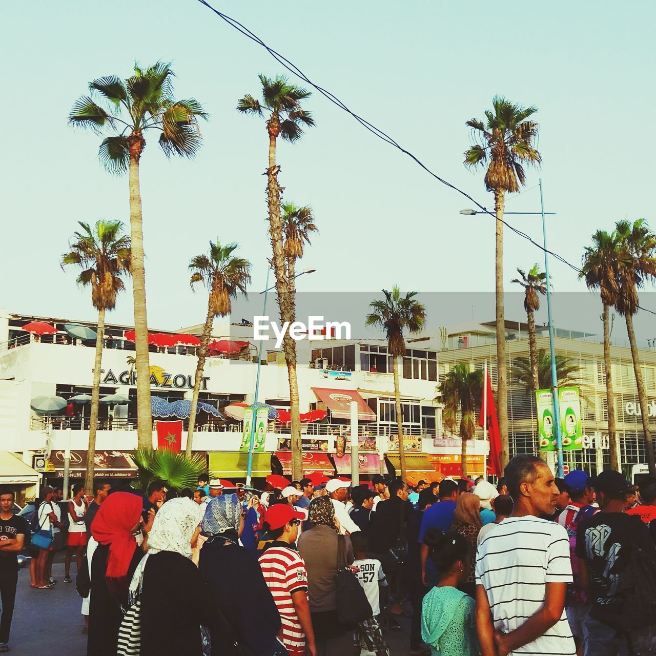 palm tree, real people, tree, large group of people, men, women, crowd, day, outdoors, built structure, city, building exterior, lifestyles, clear sky, architecture, sky, adult, people