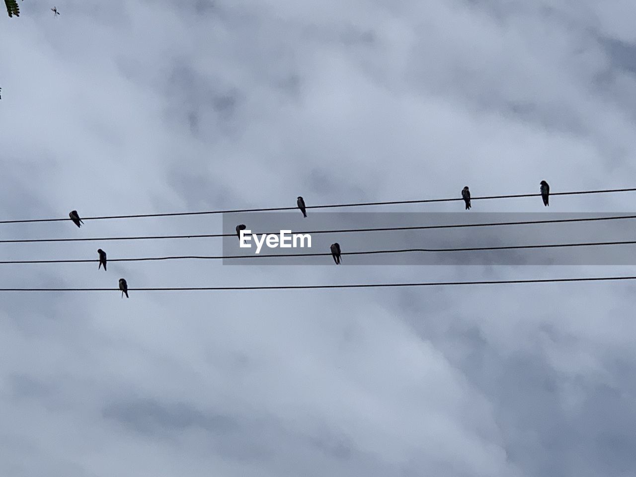 Low angle view of power lines against sky