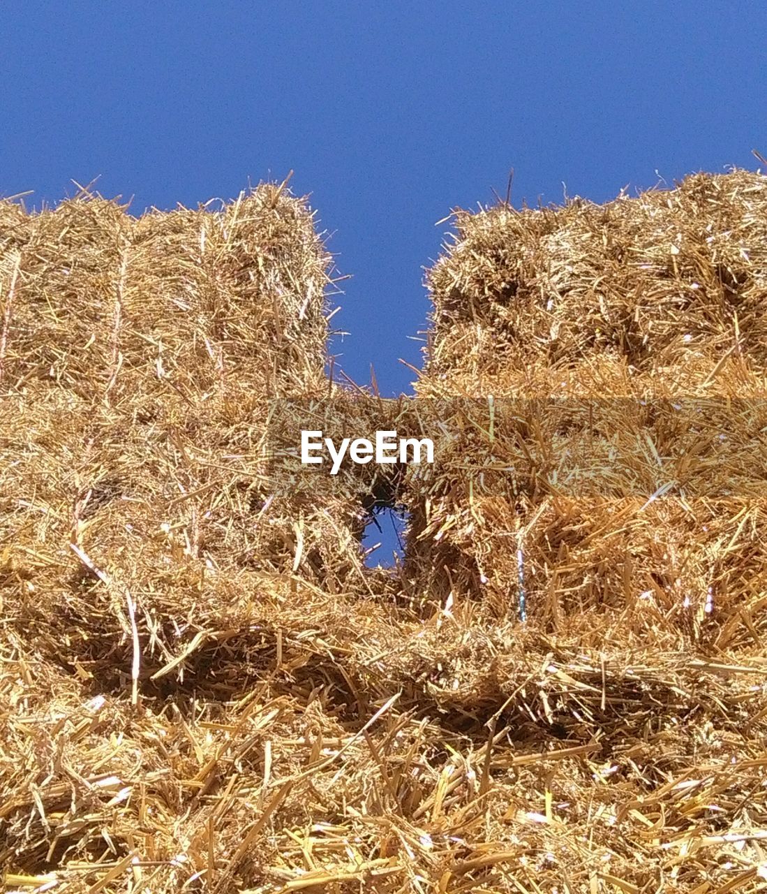 CLOSE-UP OF HAY BALES ON FIELD