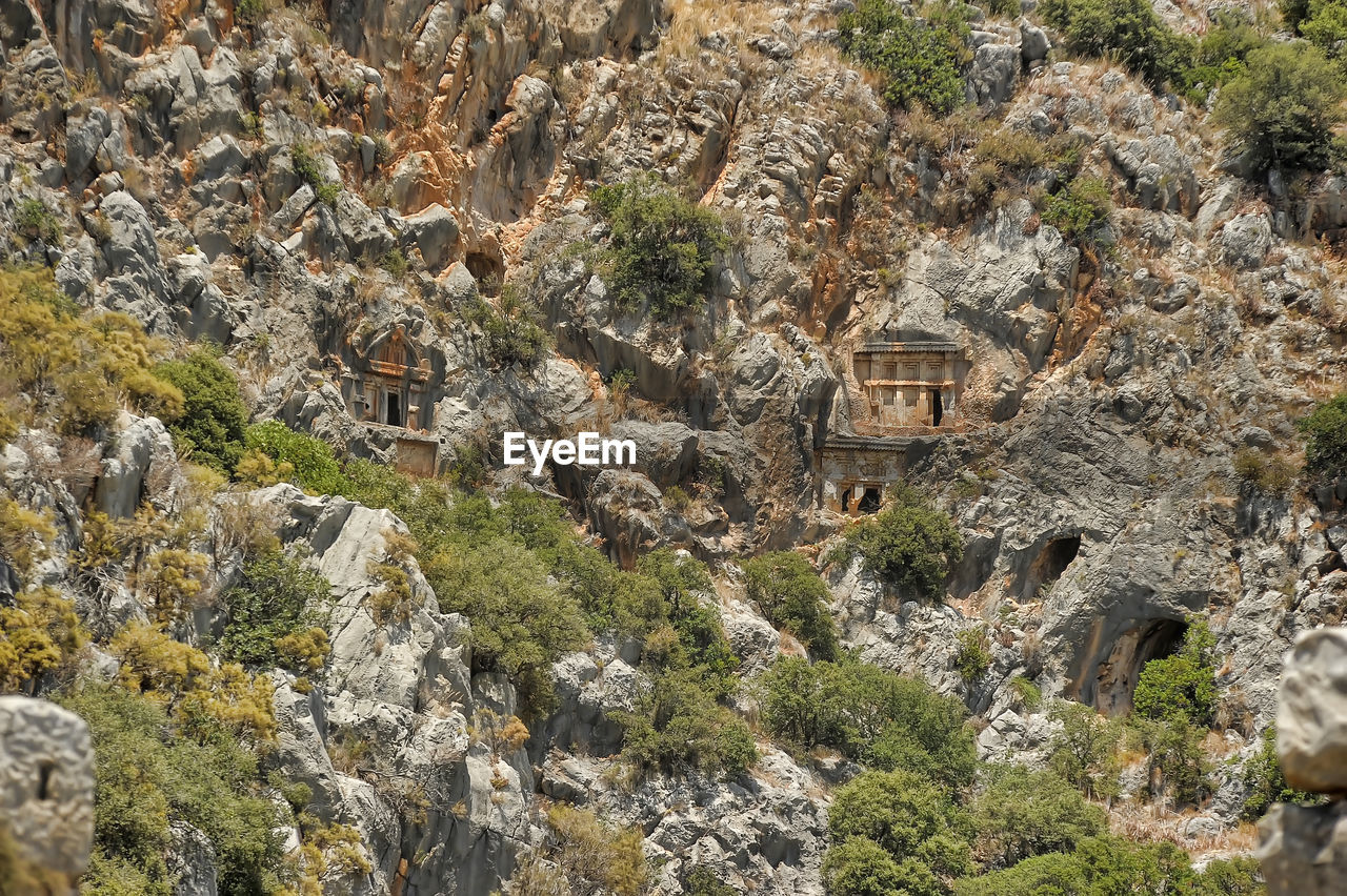 AERIAL VIEW OF TREES AND ROCKS IN CITY