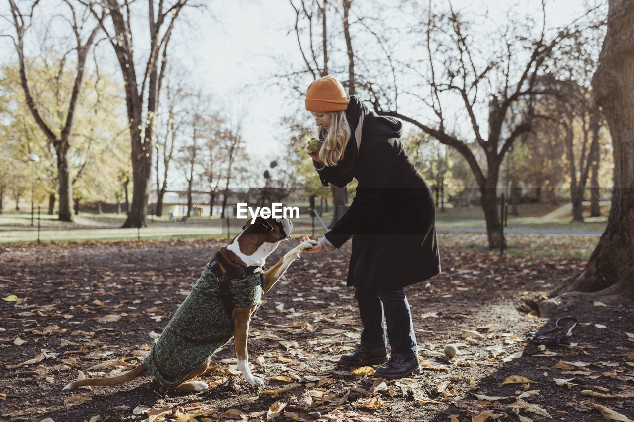 Full length of young woman and boxer dog with handshake at park