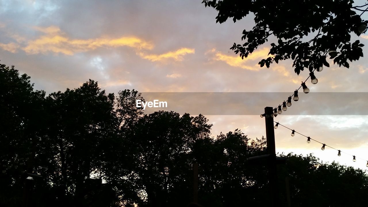 SILHOUETTE OF TREE AGAINST CLOUDY SKY