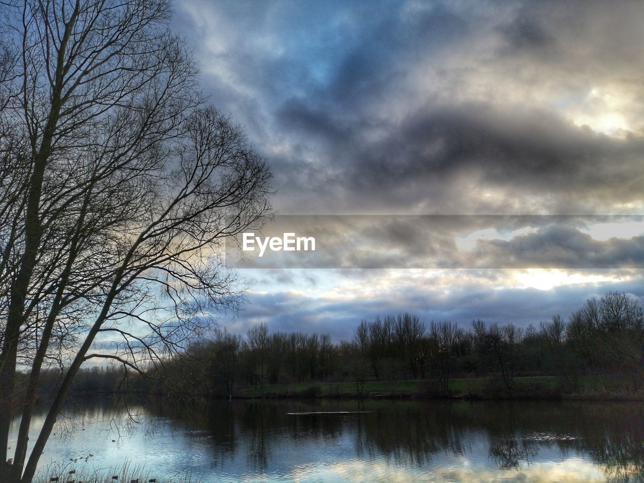 REFLECTION OF BARE TREES IN LAKE AGAINST SKY