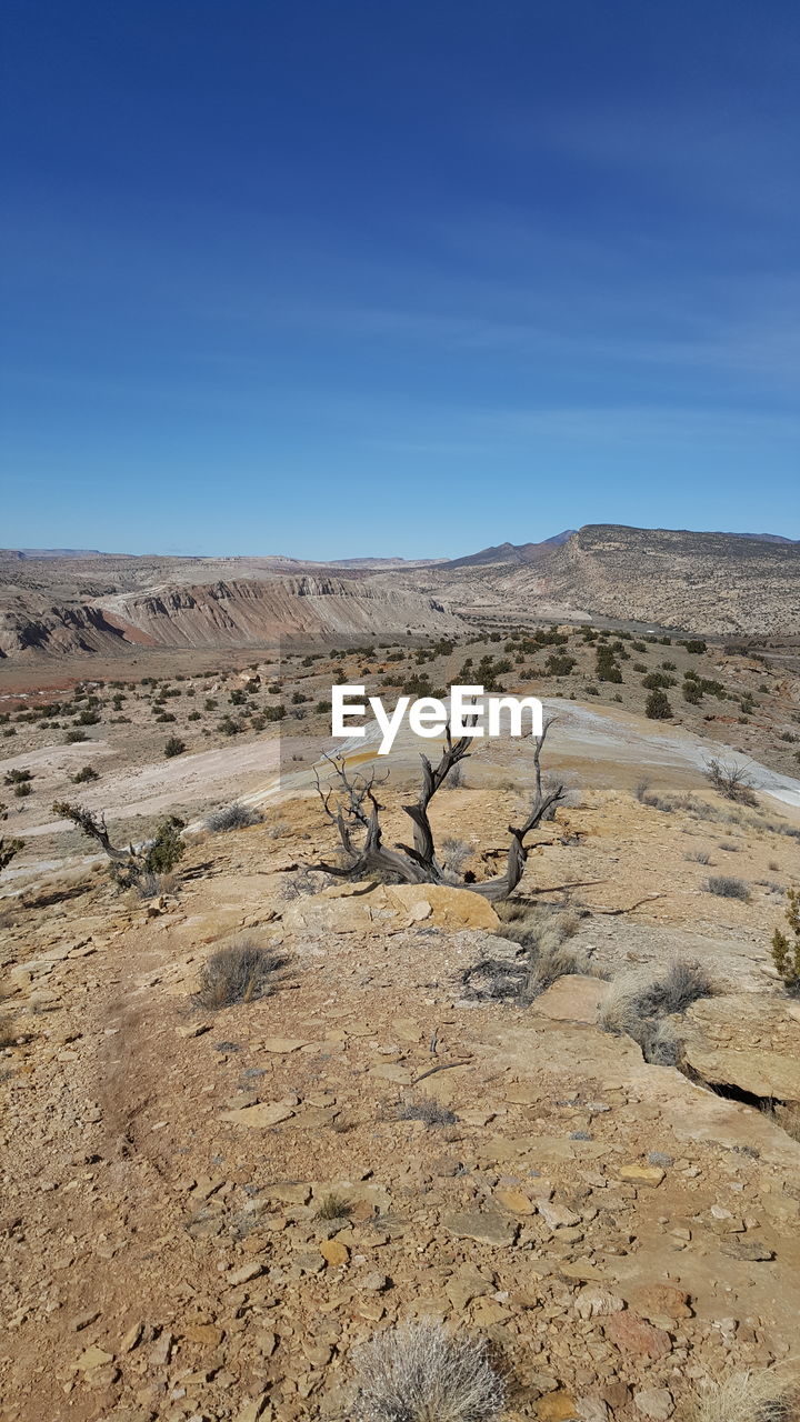 TRANQUIL VIEW OF LANDSCAPE AGAINST CLEAR SKY