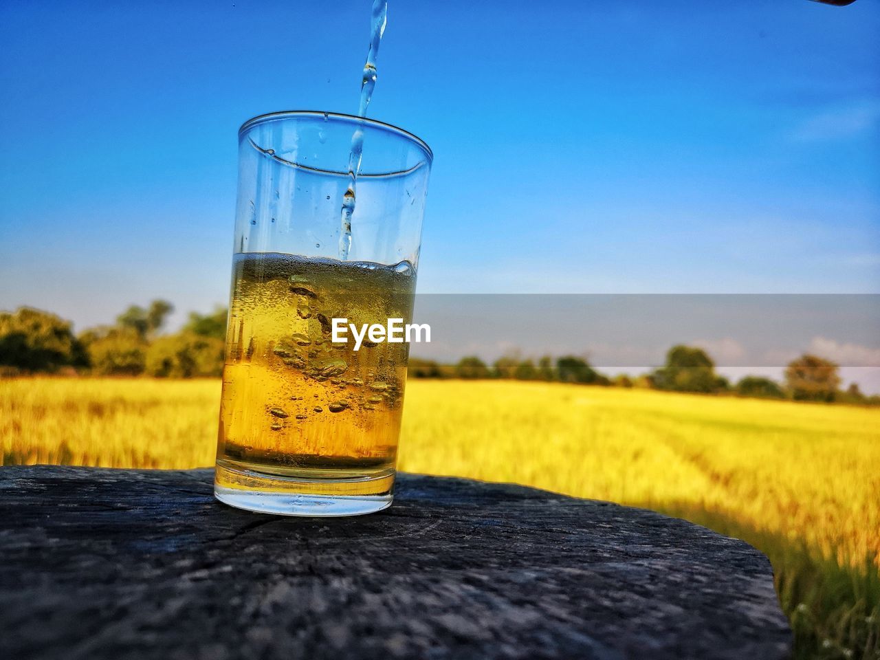 Close-up of pouring beer on field against sky