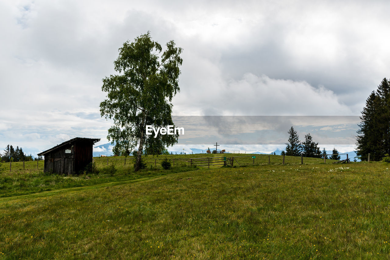 SCENIC VIEW OF LAND AGAINST SKY