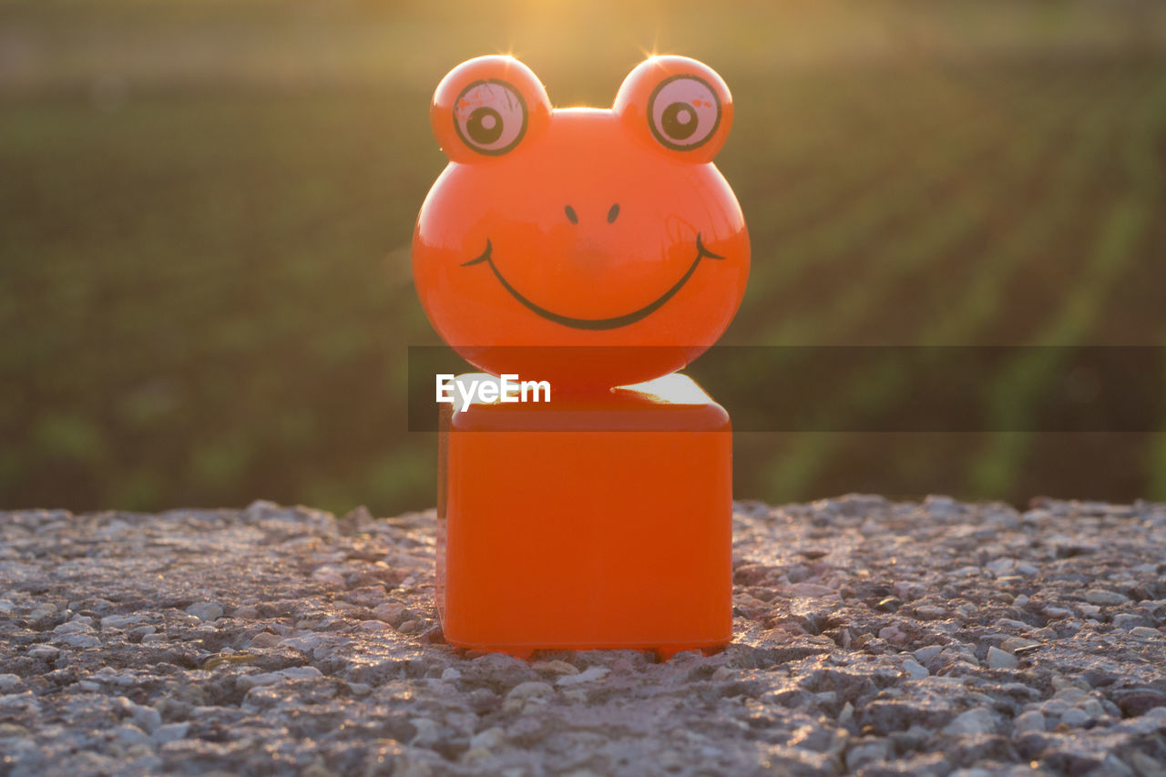 Close-up of orange frog toy