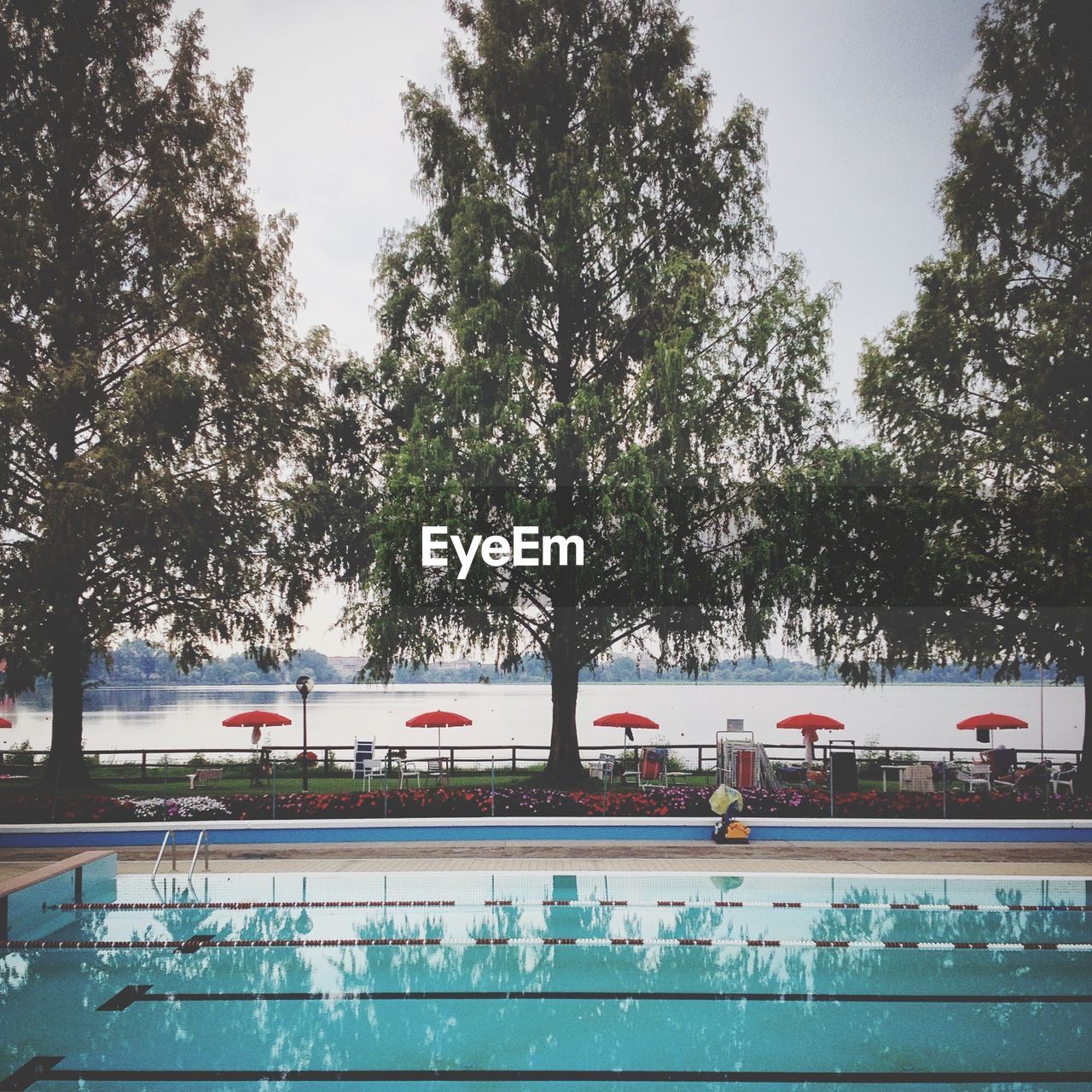 SWIMMING POOL AGAINST TREES