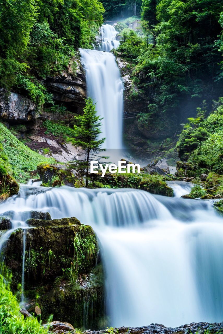 Scenic view of waterfall in forest