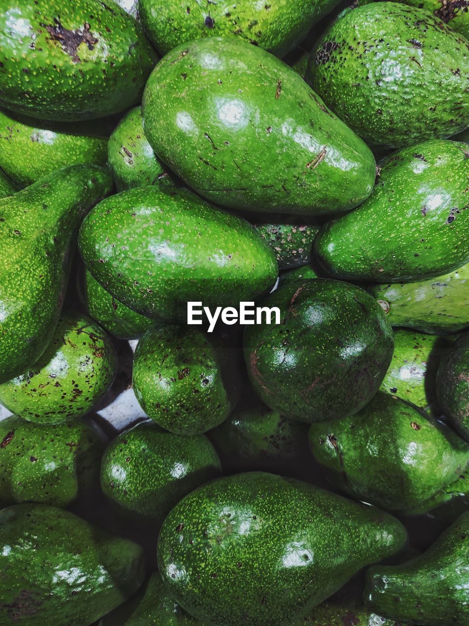 Ripe green avocado fruit