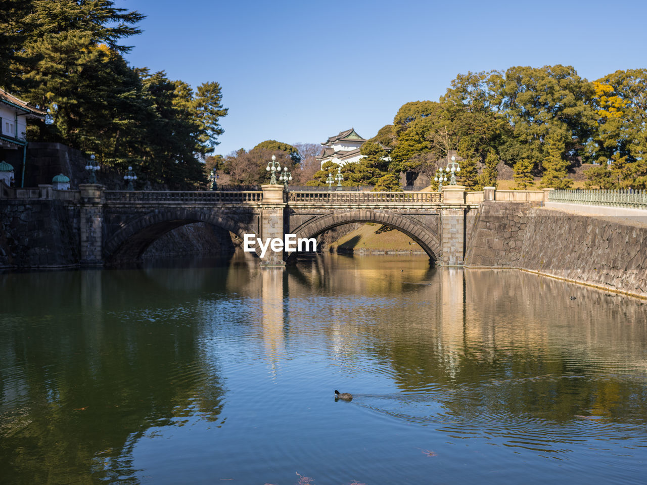 water, bridge, reflection, architecture, built structure, river, arch bridge, nature, arch, tree, travel destinations, sky, plant, transportation, waterway, building exterior, city, animal themes, no people, animal, clear sky, travel, history, reservoir, outdoors, autumn, blue, the past, animal wildlife, tourism, day, body of water, waterfront, bird