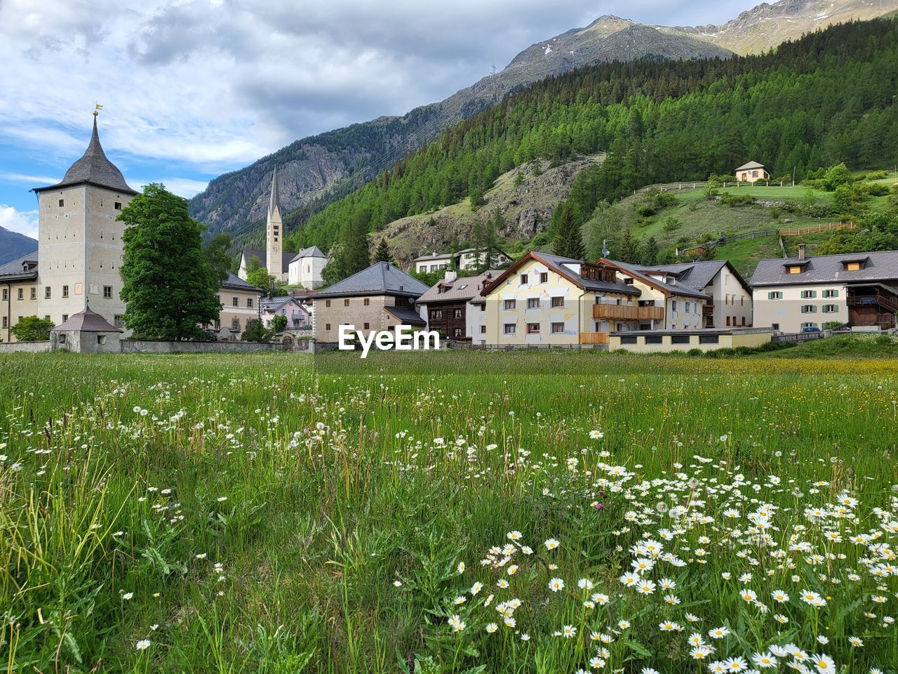 architecture, building exterior, plant, building, built structure, landscape, meadow, mountain, house, rural area, nature, land, grass, flower, mountain range, sky, environment, residential district, field, beauty in nature, cloud, rural scene, travel destinations, place of worship, scenics - nature, no people, flowering plant, religion, village, green, tree, plain, the past, history, pasture, travel, city, outdoors, tourism, summer, tranquility, day, idyllic, tranquil scene, home, grassland, springtime, belief, growth, town, spirituality, mansion, water