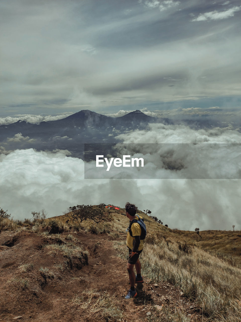 Rear view of man standing on land against sky