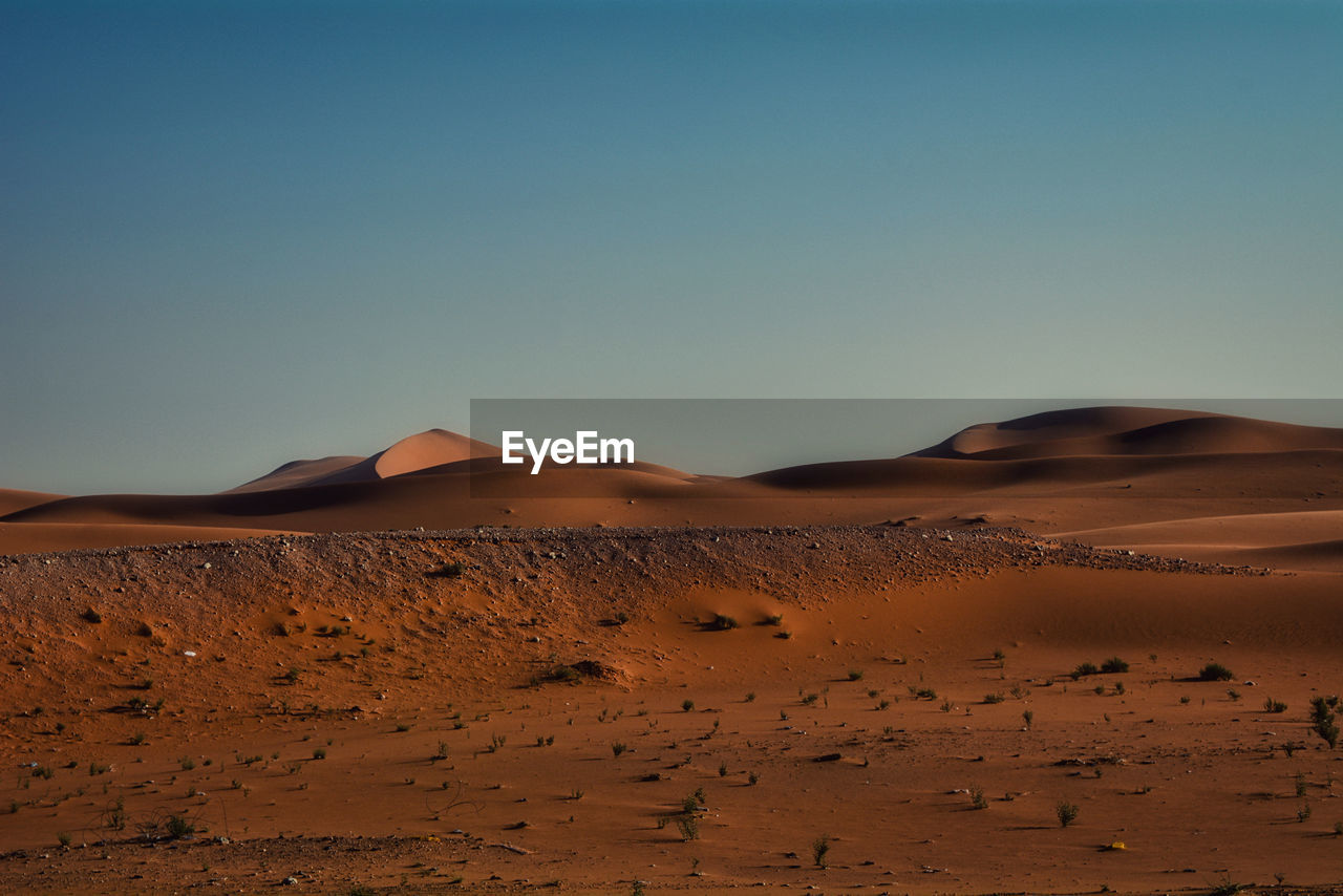 Serene desert sands and clear skies