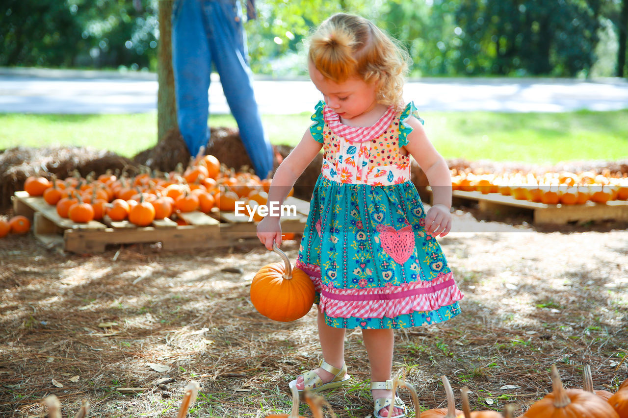 Girl holding pumpkin at park during autumn