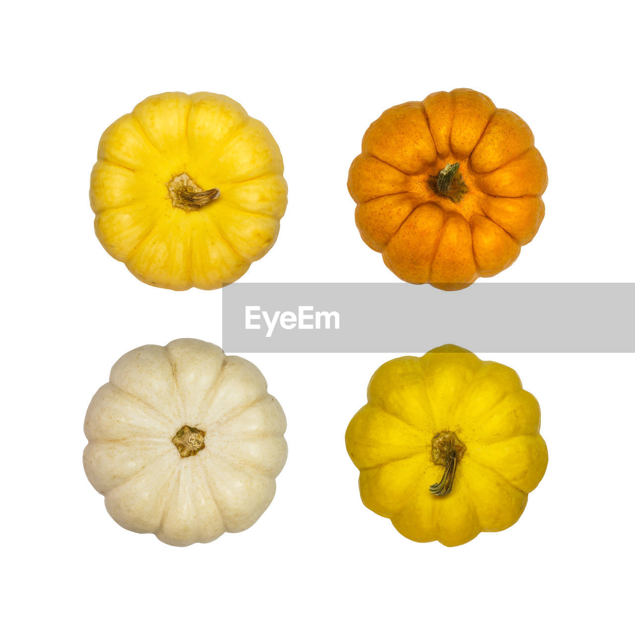 Close-up of pumpkins against white background