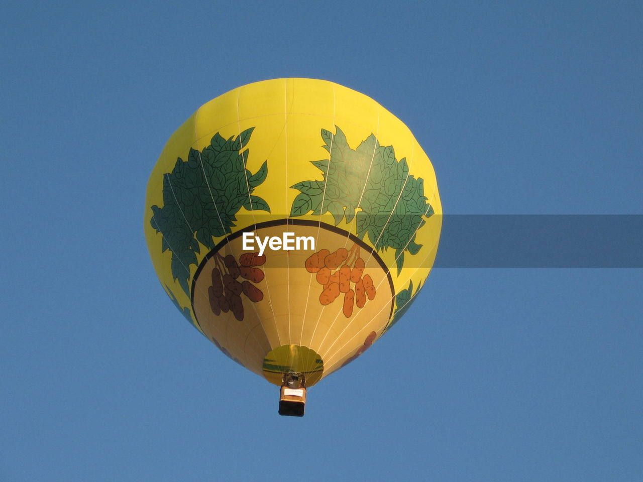 Hot air balloon above the ground with blue sky during at the international balloon festival in usa.