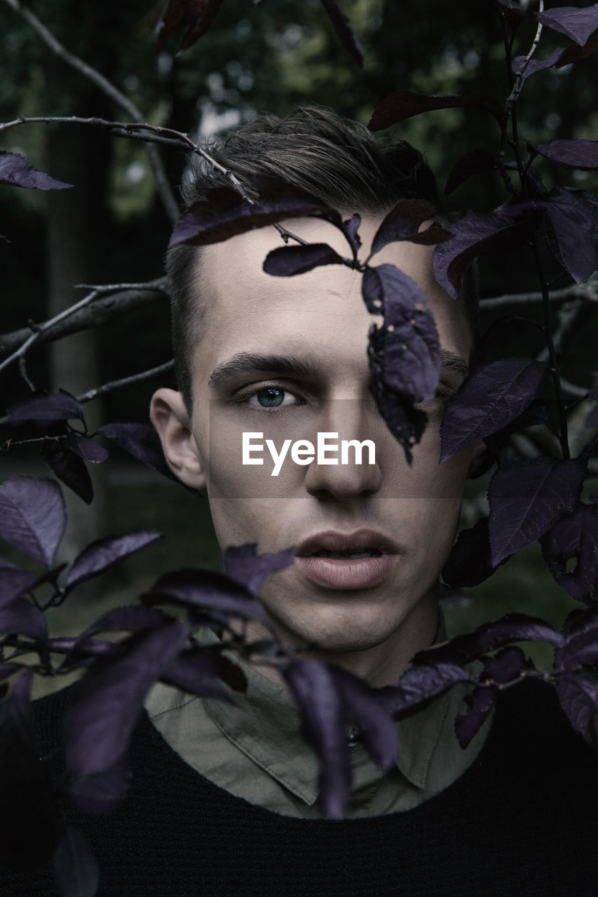 Portrait of man amidst purple leaves