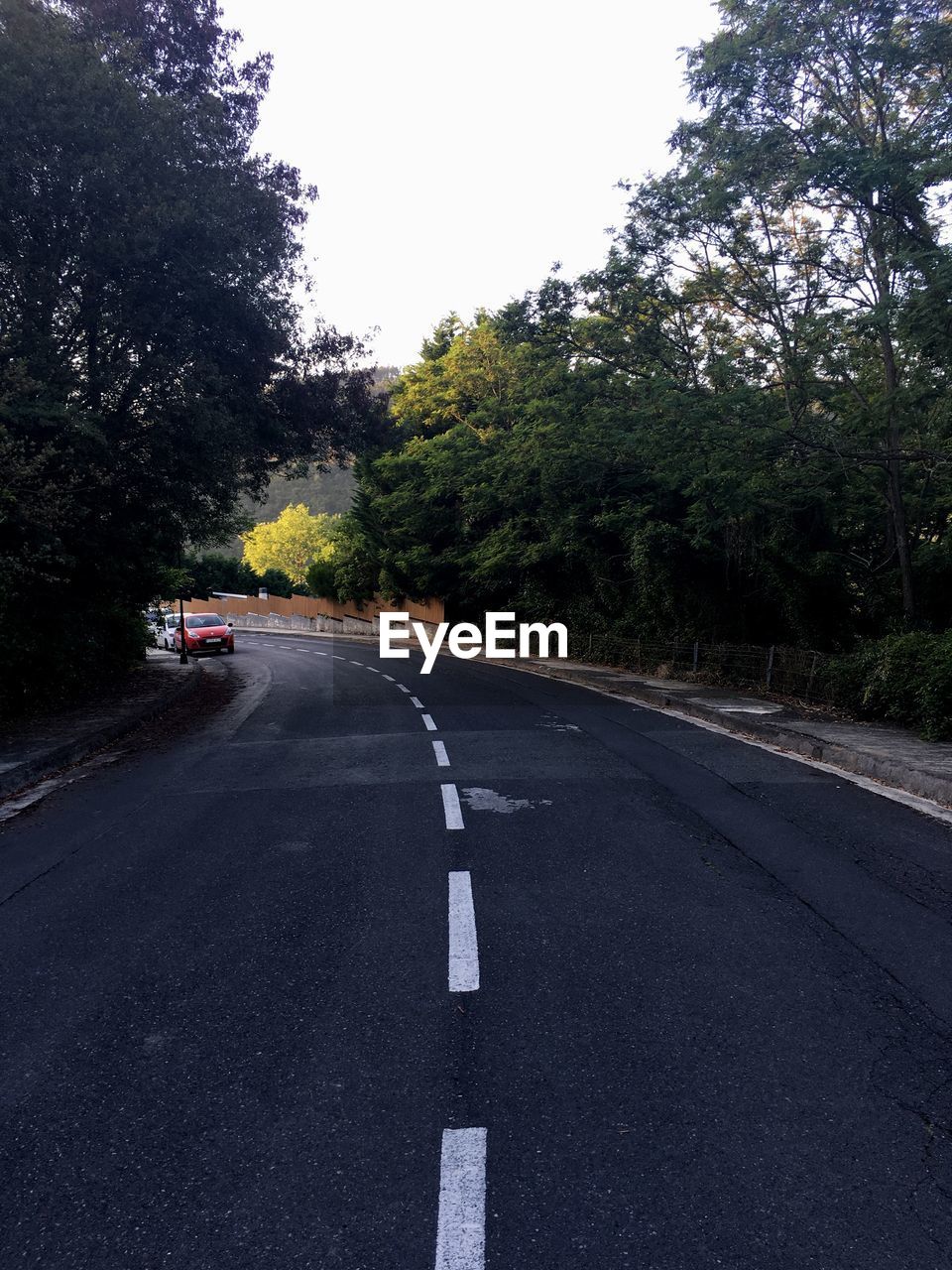 Road amidst trees against clear sky