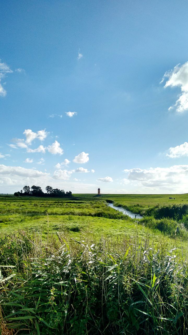 FIELD AGAINST SKY