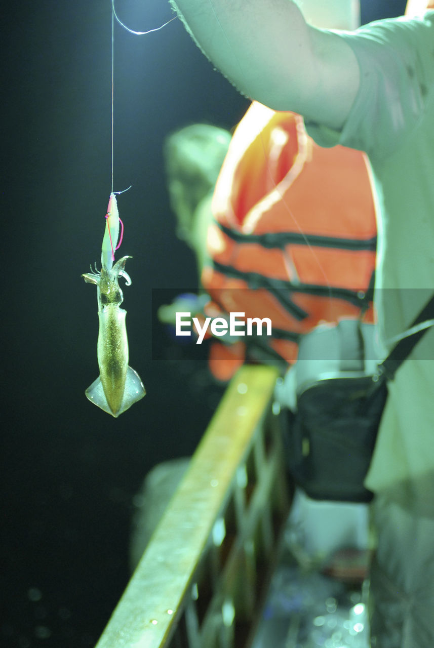 Cropped hand of man showing fish while standing outdoors at night