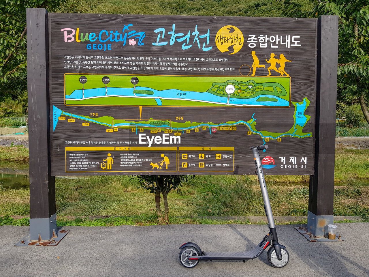 BICYCLE SIGN ON ROAD AGAINST PLANTS