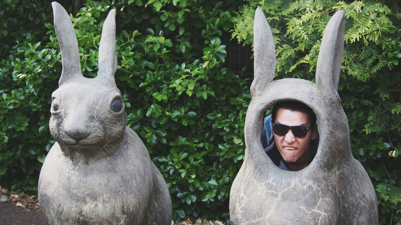 Young man making face in rabbit sculpture