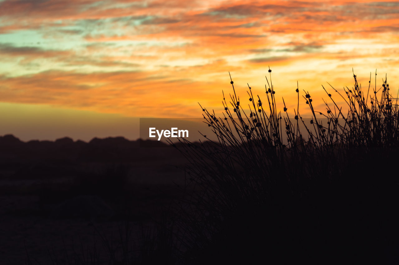 SILHOUETTE LANDSCAPE AGAINST ORANGE SKY DURING SUNSET