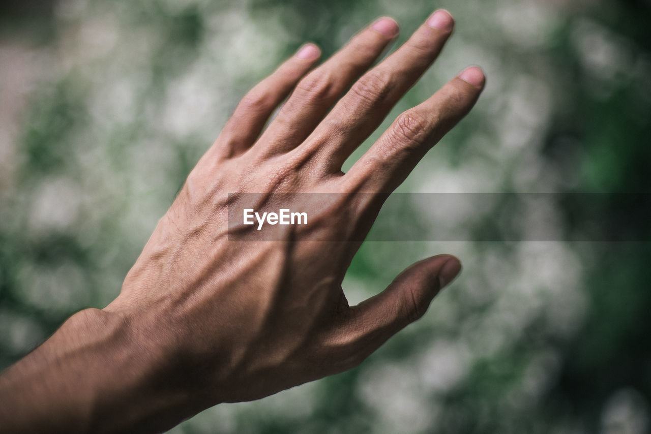 Close-up of hand against blurred background