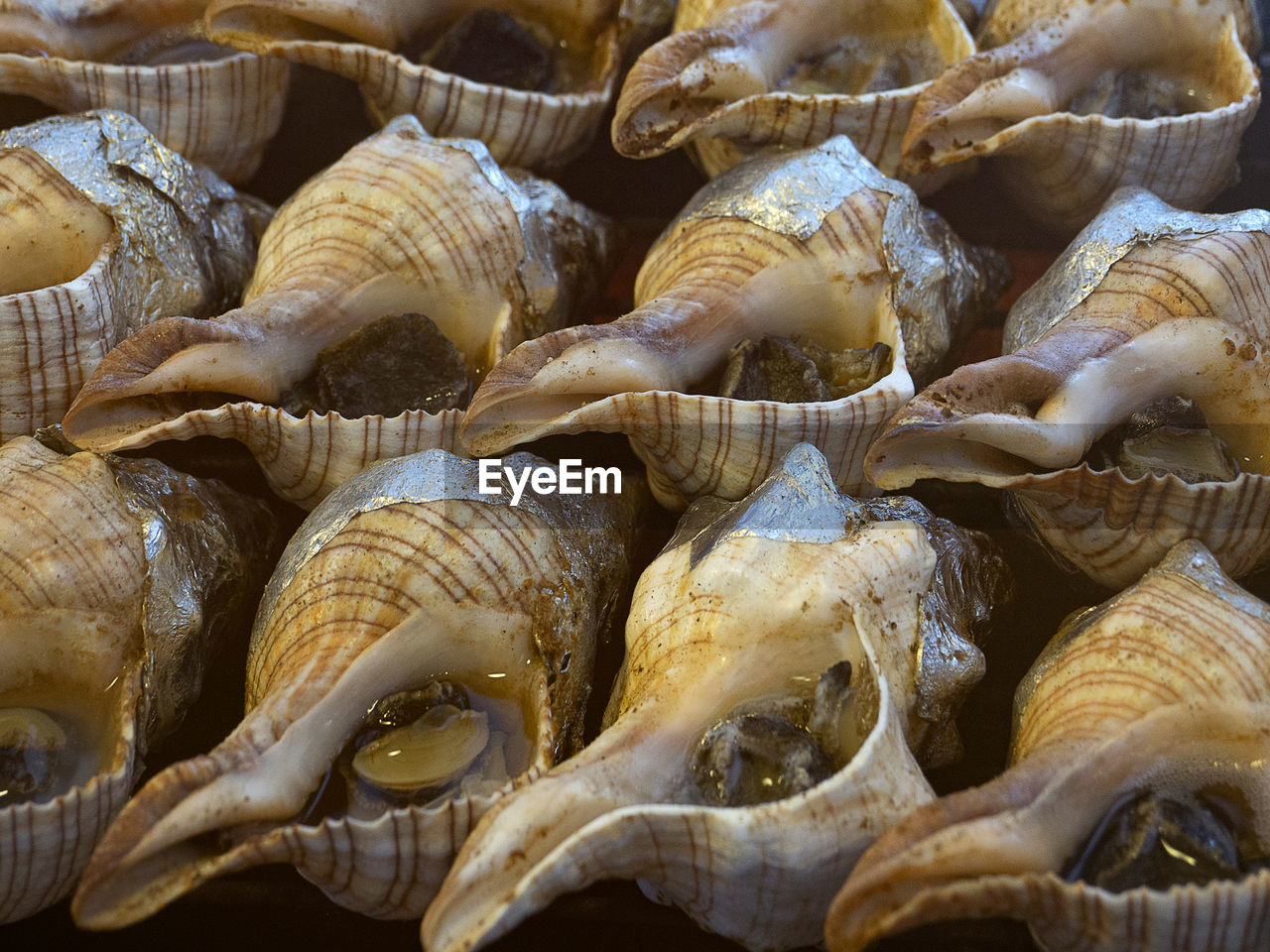 CLOSE-UP OF FISH FOR SALE AT MARKET