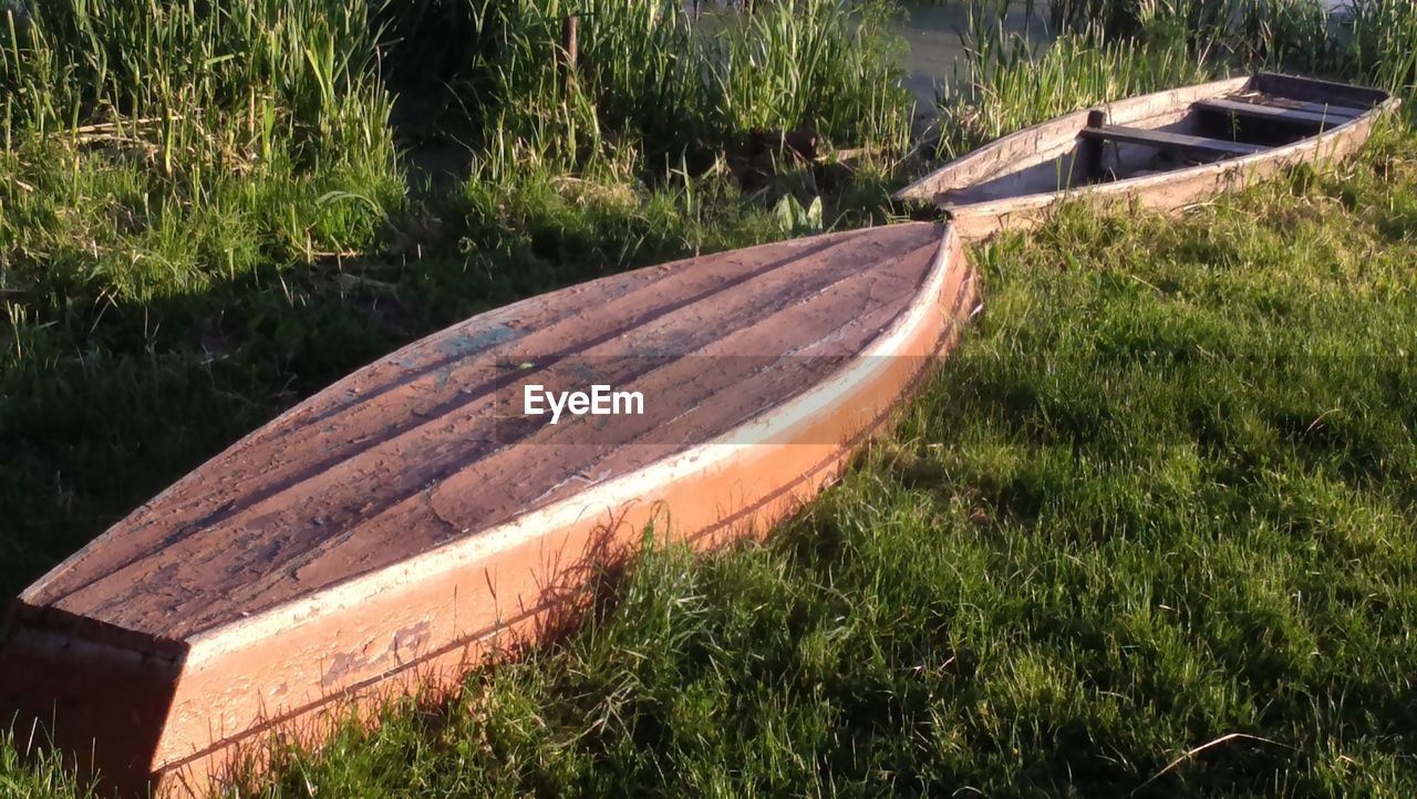 High angle view of grass by trees