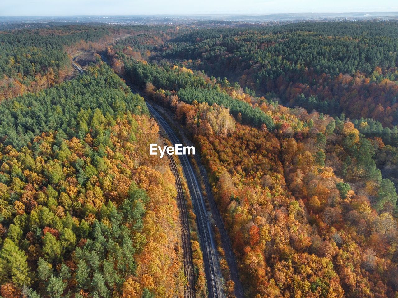 High angle view of road amidst trees during autumn