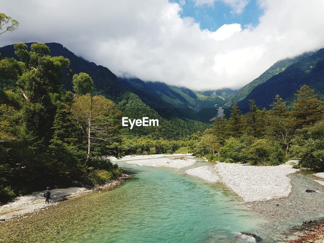 Scenic view of river amidst trees against sky