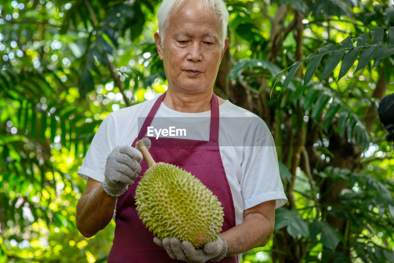 Senior man holding durian