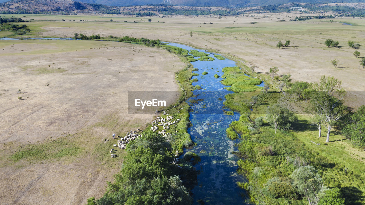 The aerial view of cetina river in the karst plain, croatia