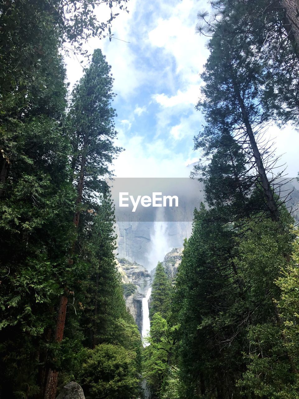 LOW ANGLE VIEW OF WATERFALL IN FOREST AGAINST SKY