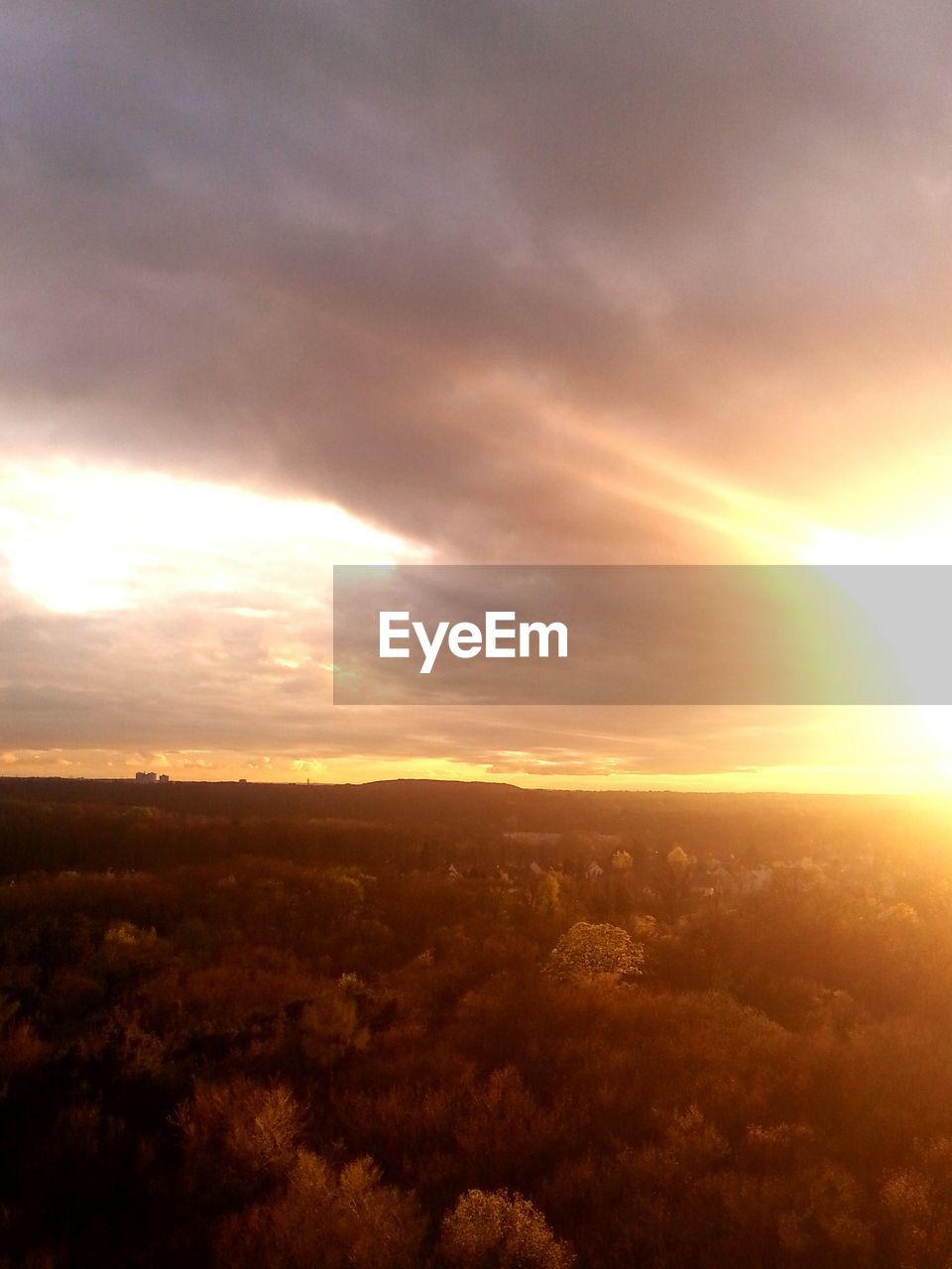 SUNSET OVER FIELD