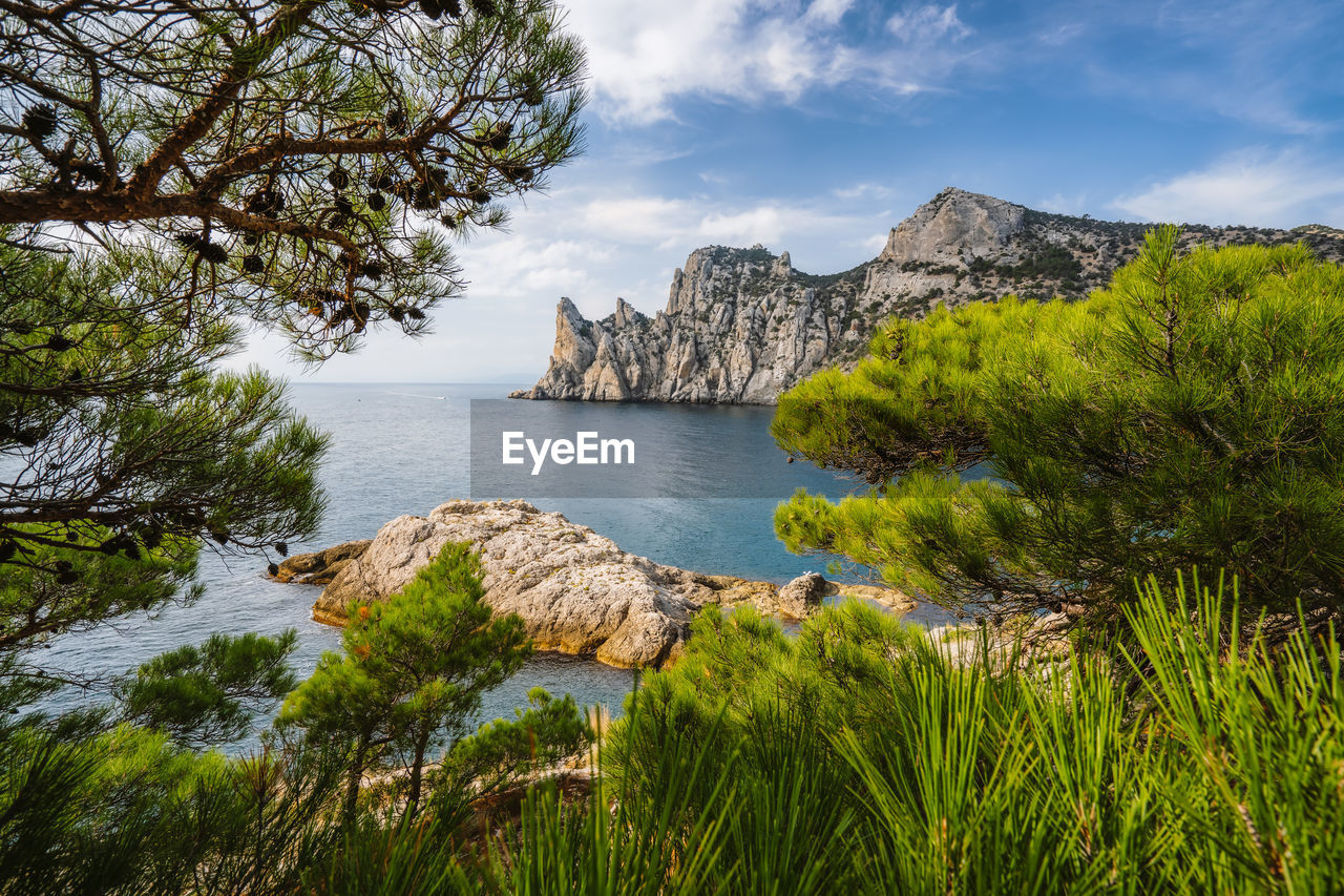 PANORAMIC SHOT OF ROCKS BY TREES AGAINST SKY