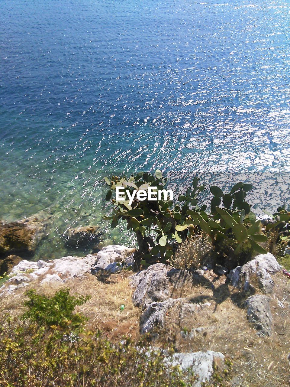 SCENIC VIEW OF ROCKS IN SEA