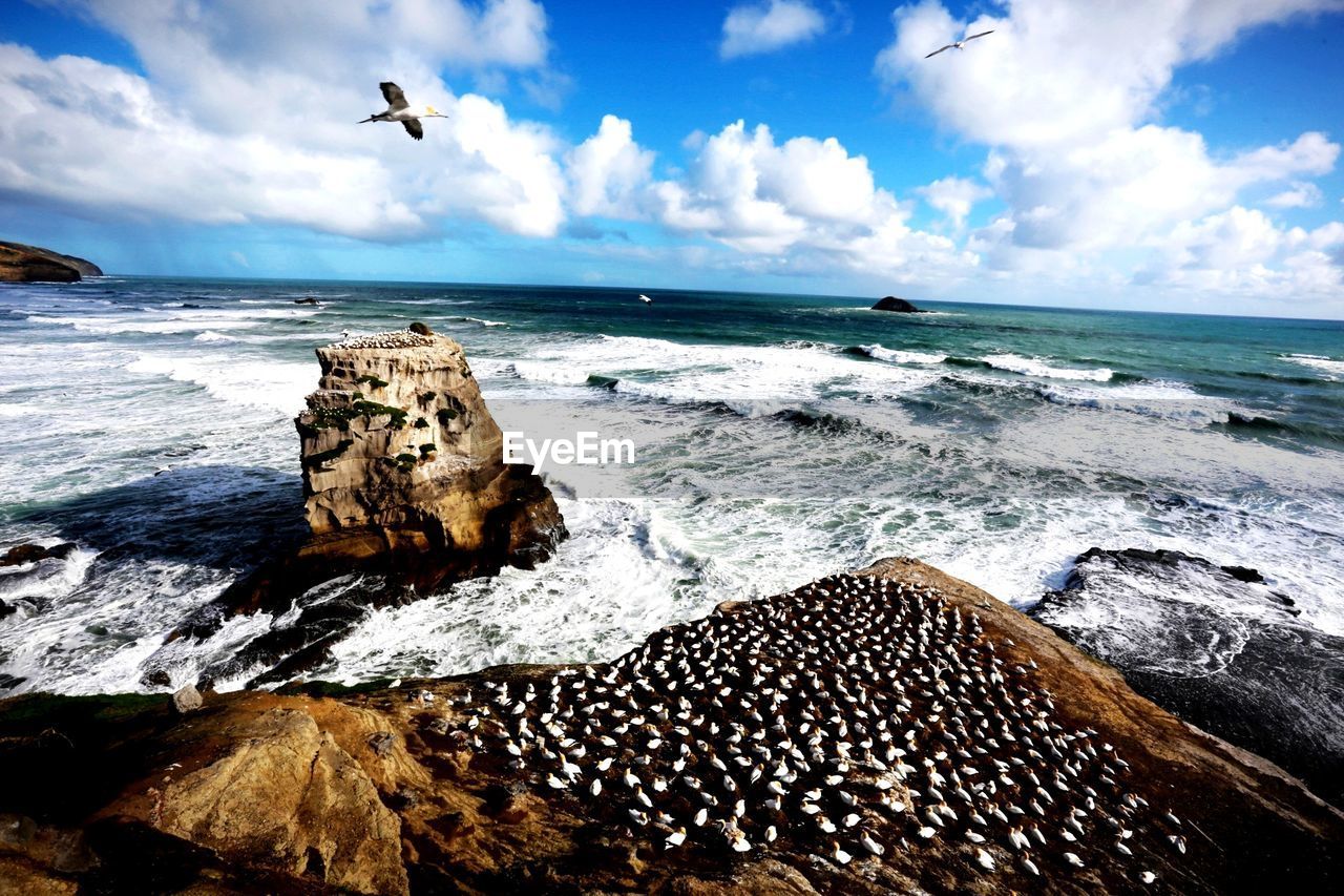 Scenic view of sea against sky