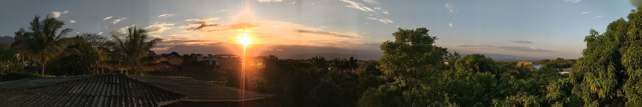 PANORAMIC SHOT OF TREES ON LANDSCAPE AGAINST SKY DURING SUNSET