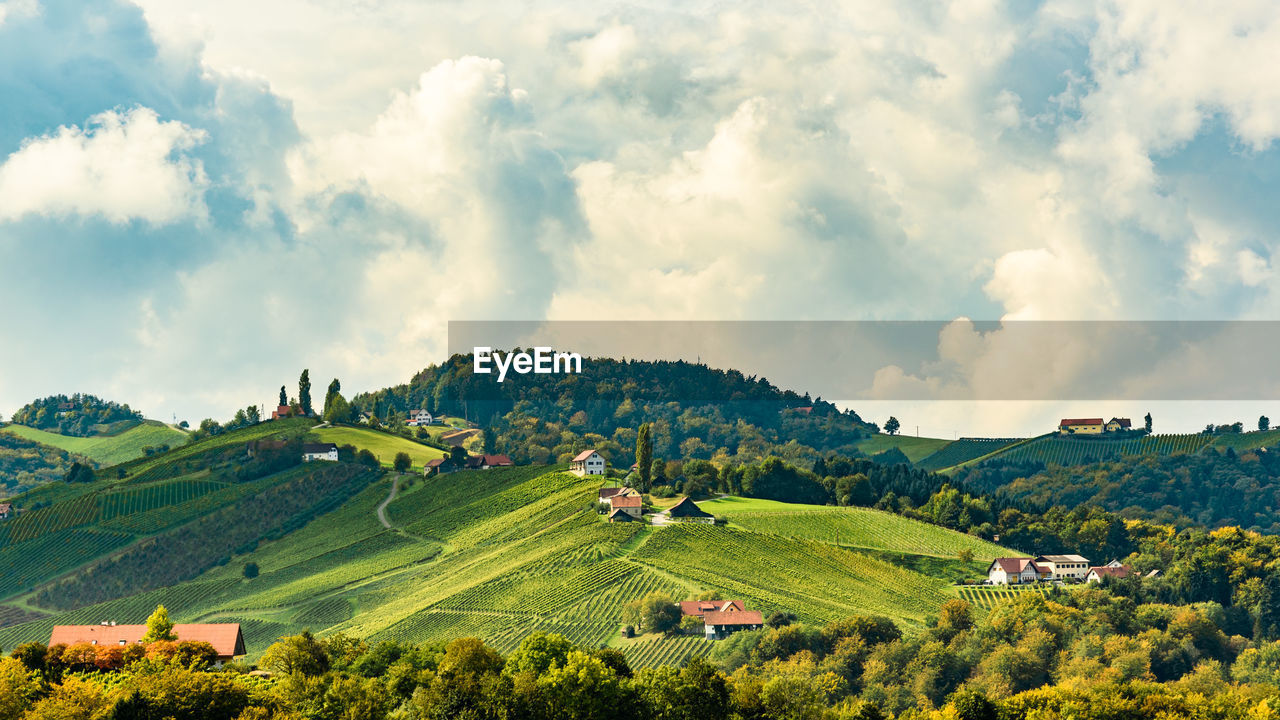 Panoramic view of agricultural field against sky