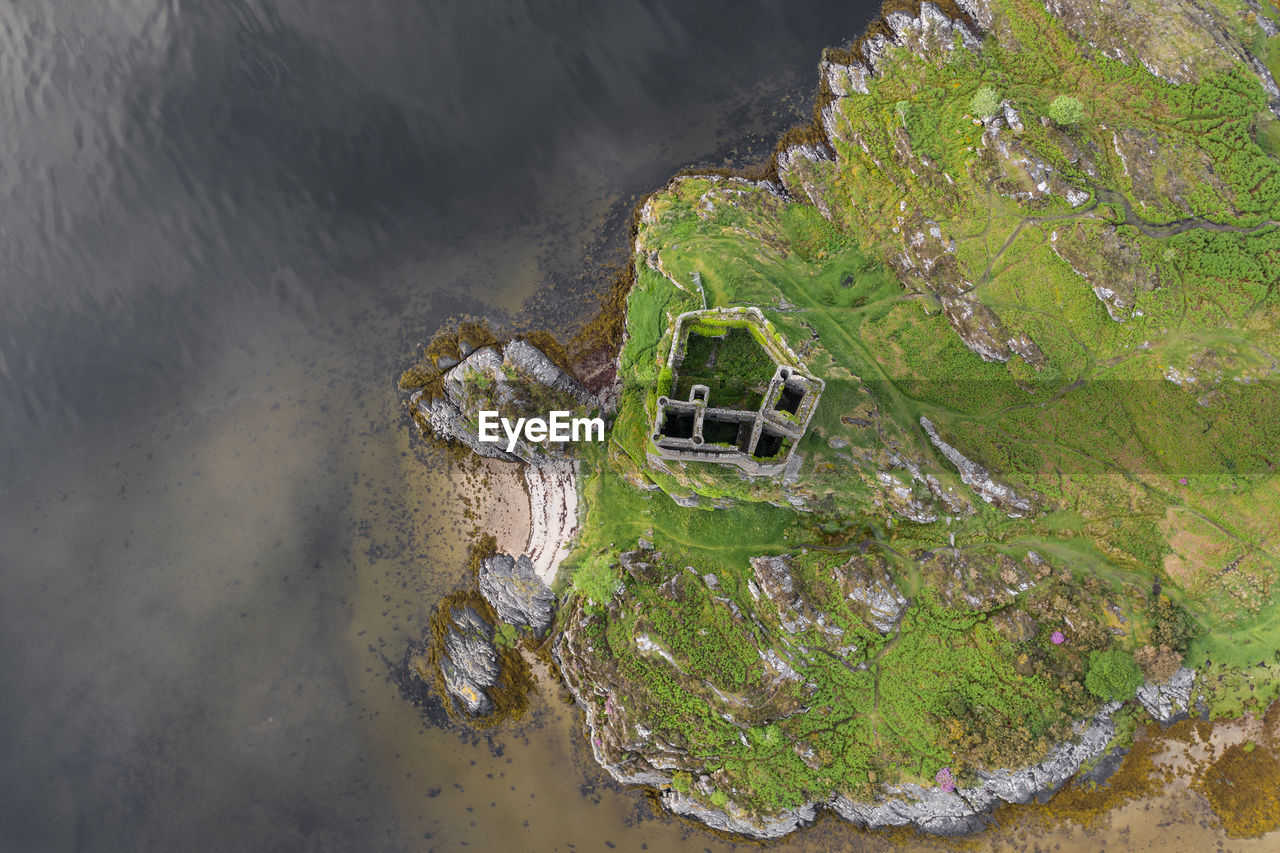 HIGH ANGLE VIEW OF PLANTS ON SHORE AT BEACH