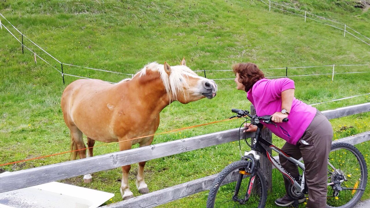 Woman with bicycle leaning by horse on field