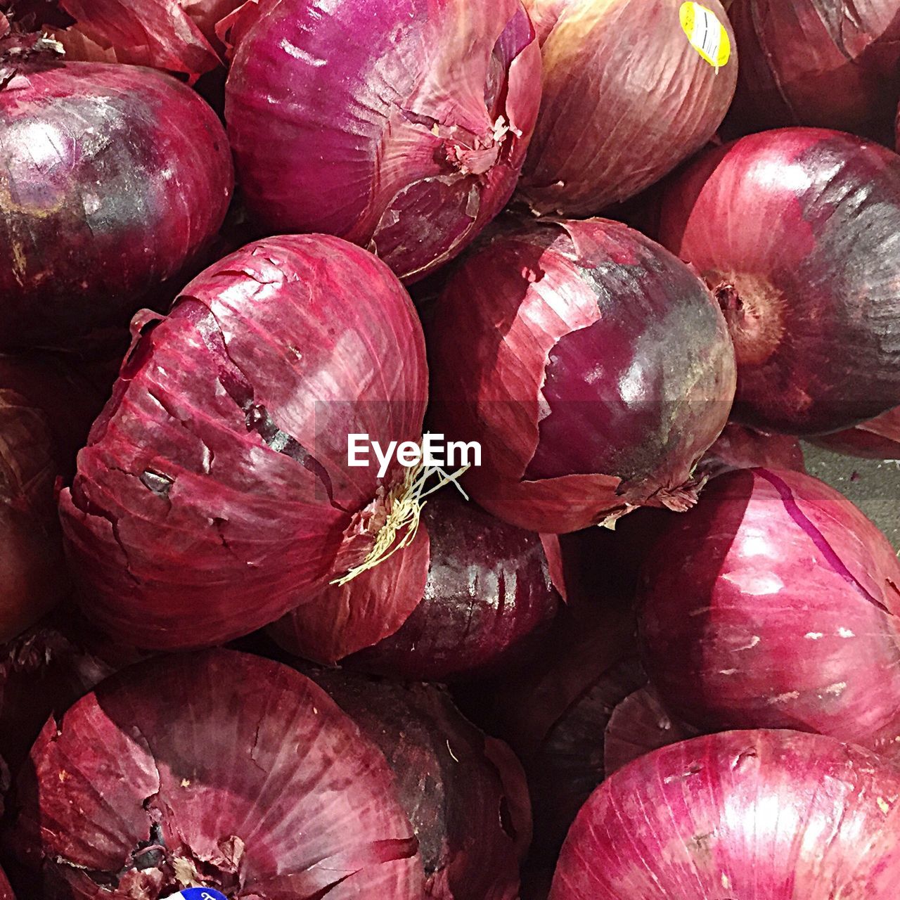 FULL FRAME SHOT OF TOMATOES